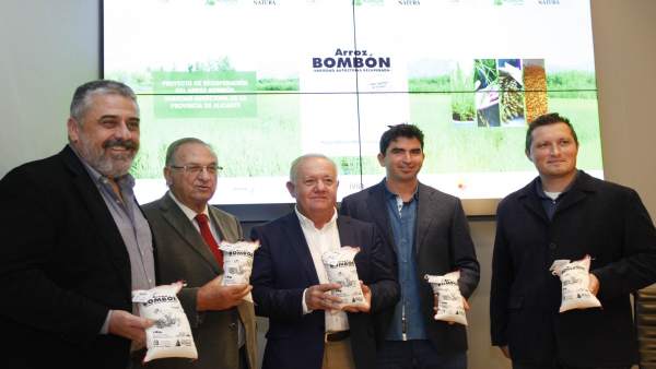 Diputación y Asaja recuperan la variedad de arroz bombón Diputación y Asaja recuperan la variedad de arroz bombón