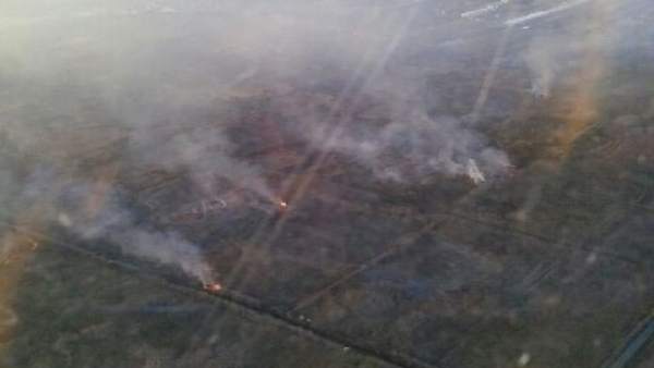 Mitjans aeris i terrestres treballen en l'extinció d'un incendi en la marjal de Gandia Mitjans aeris i terrestres treballen en l'extinció d'un incendi en la marjal de Gandia