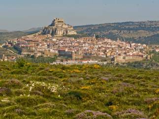 Morella