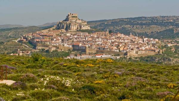 Morella Morella
