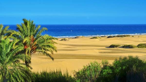 PLAYA DE MASPALOMAS, GRAN CANARIA PLAYA DE MASPALOMAS, GRAN CANARIA
