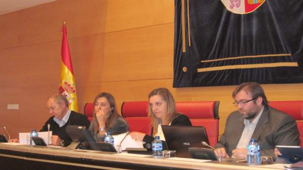 Comparecencia de la directora general de la Mujer de CyL Comparecencia de la directora general de la Mujer de CyL