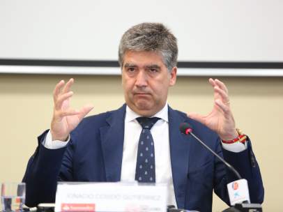 Ignacio Cosidó, director general de la Policía