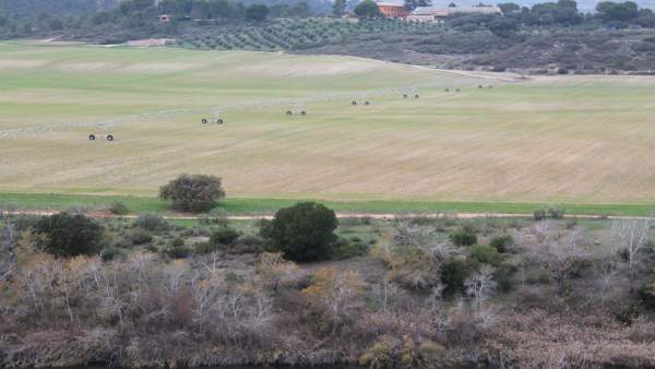REGADÍO, CULTUVO, REGAR, AGRICULTURA, AGRICULTOR, CAMPO REGADÍO, CULTUVO, REGAR, AGRICULTURA, AGRICULTOR, CAMPO