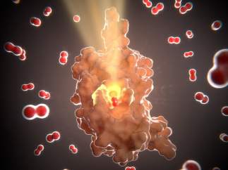 Resistencia a las bacterias