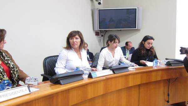 La conselleira de Medio Ambiente Beatriz Mato en el Parlamento. La conselleira de Medio Ambiente Beatriz Mato en el Parlamento.