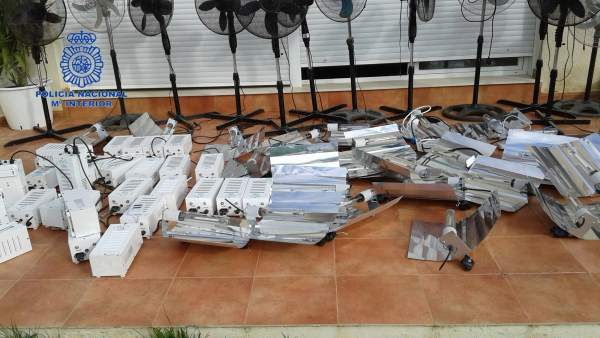 Nota De Prensa Y Fotografía: La Policía Nacional Desmantela Una Plantación De Ma Nota De Prensa Y Fotografía: La Policía Nacional Desmantela Una Plantación De Ma
