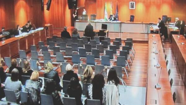 Juicio de Parque Animal. Declara un testigo Juicio de Parque Animal. Declara un testigo