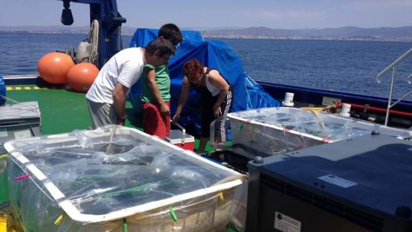 Trabajos en el marco del estudio sobre el Mediterráneo como 'sumidero' de CO2 Trabajos en el marco del estudio sobre el Mediterráneo como 'sumidero' de CO2