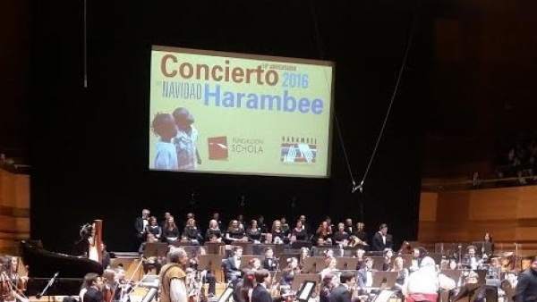Concierto Harambee Concierto Harambee