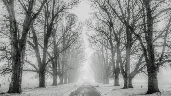 Invierno Invierno