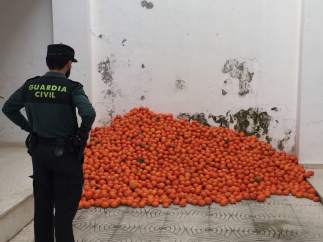 Agente junto a las mandarinas incautadas