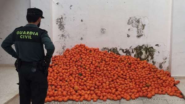 Agente junto a las mandarinas incautadas Agente junto a las mandarinas incautadas