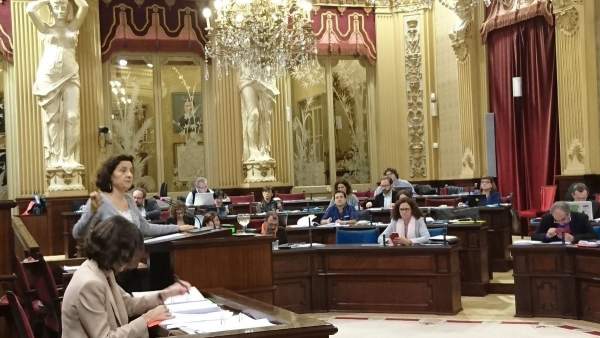 La consellera de Servicios Sociales, Fina Santiago, durante el pleno La consellera de Servicios Sociales, Fina Santiago, durante el pleno