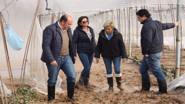 El presidente de la Comunidad visitó hoy explotaciones agrícolas afectadas El presidente de la Comunidad visitó hoy explotaciones agrícolas afectadas