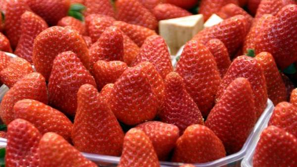 Fresas Fresas
