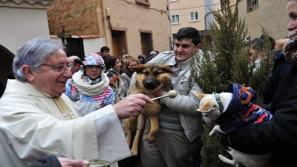 Bendición de animales en la ermita de San Antón de Teruel Bendición de animales en la ermita de San Antón de Teruel