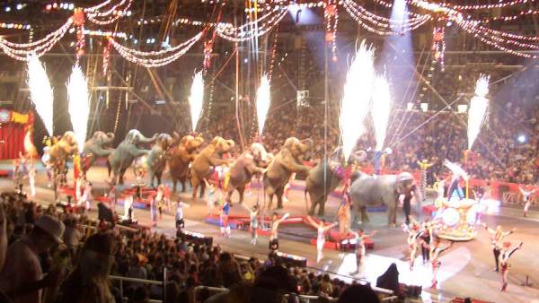 Circo Ringling Circo Ringling