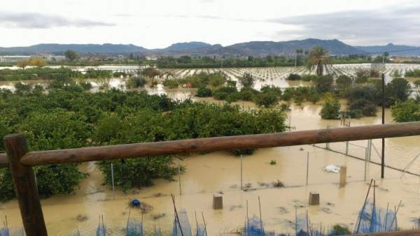 Inundaciones, huerta, campo, lluvias Inundaciones, huerta, campo, lluvias