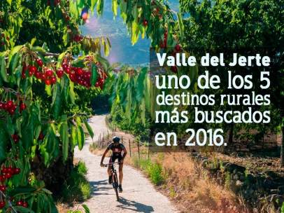 Cartel