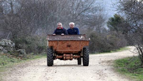 Conducir tractor, tractores, agricultor, agricultores, vida en el campo Conducir tractor, tractores, agricultor, agricultores, vida en el campo