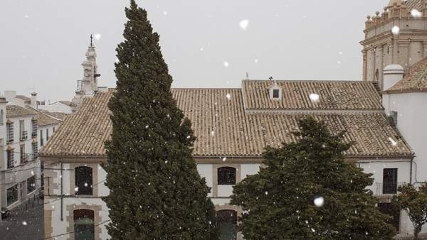 Copos de nieve en Estepa. Copos de nieve en Estepa.