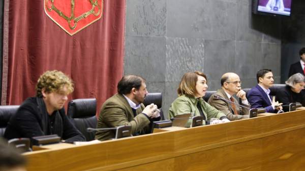 Pleno del Parlamento de Navarra Pleno del Parlamento de Navarra