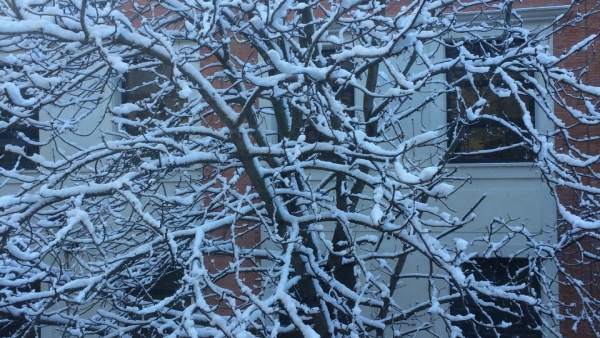Nieve Nieve