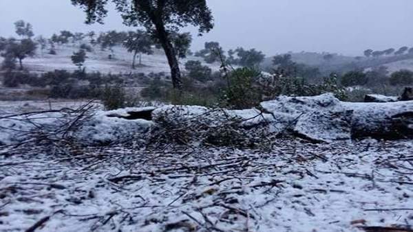 Nieve en Aznalcóllar (Sevilla) Nieve en Aznalcóllar (Sevilla)