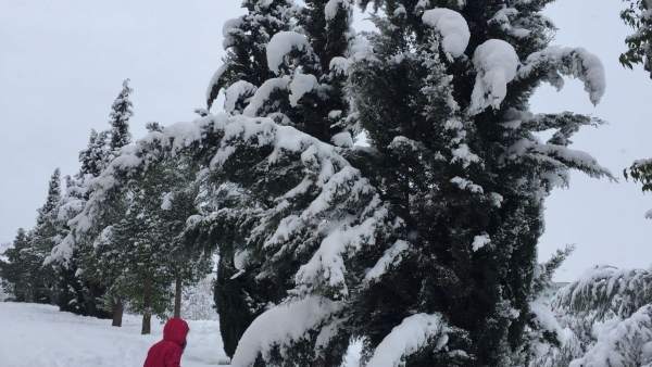 Ronda nieve frio temporal enero 2017 Ronda nieve frio temporal enero 2017