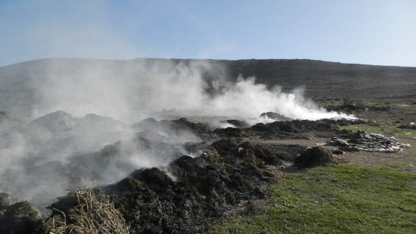 Quema de residuos agrícolas en Almería. Quema de residuos agrícolas en Almería.