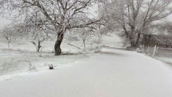 Nieve Nieve