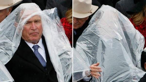 Bush Bush