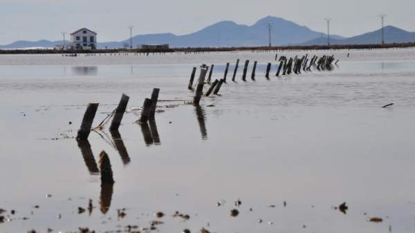 Imagen de las encañizadas del Mar Menor Imagen de las encañizadas del Mar Menor