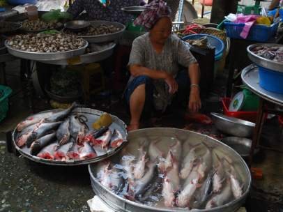 Panga en un mercado de Vietnam