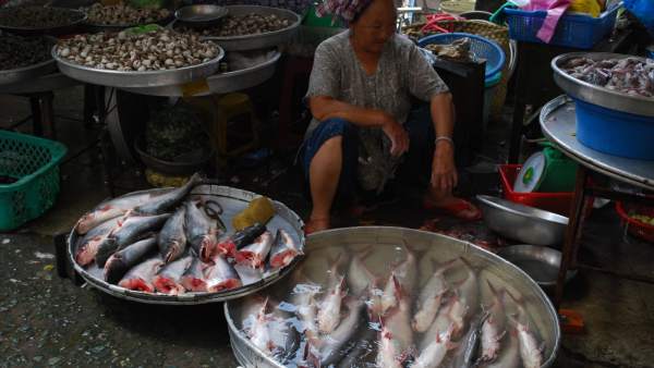 Panga en un mercado de Vietnam Panga en un mercado de Vietnam
