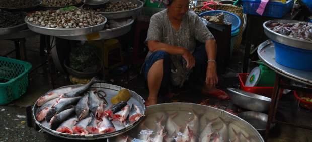 Panga en un mercado de Vietnam