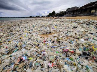 Una playa como basurero
