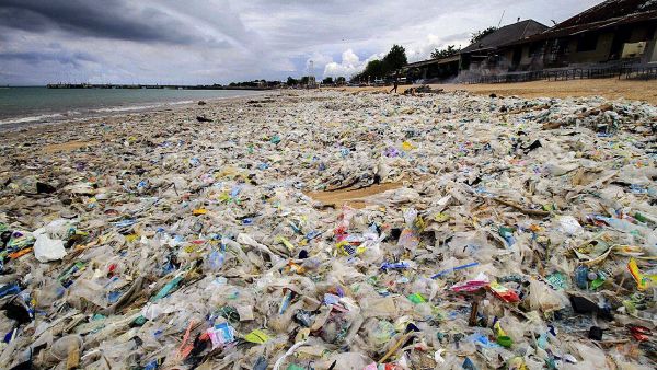 Una playa como basurero Una playa como basurero