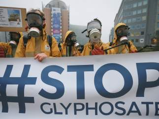 Greenpeace, Bruselas