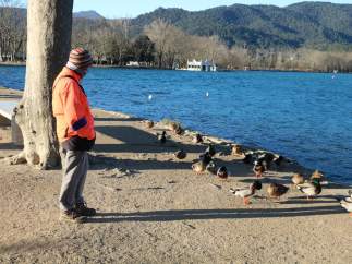 Una mujer mira de cerca a un grupo de patos en el lago de Banyoles de Girona.