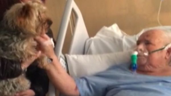 La inesperada visita perruna a un paciente en el hospital
