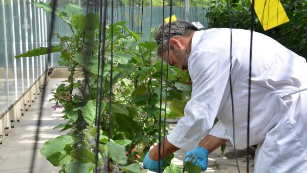 La UPV, entre les 100 millors universitats en Agricultura i Ciències Forestals, segons el rànquing QS La UPV, entre les 100 millors universitats en Agricultura i Ciències Forestals, segons el rànquing QS