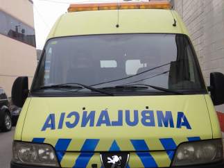 La primera ambulancia solidaria para mascotas que circula por Cataluña.