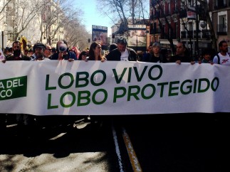 Manifestación por la protección del lobo ibérico