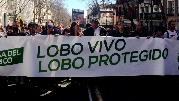 Manifestación por la protección del lobo ibérico Manifestación por la protección del lobo ibérico