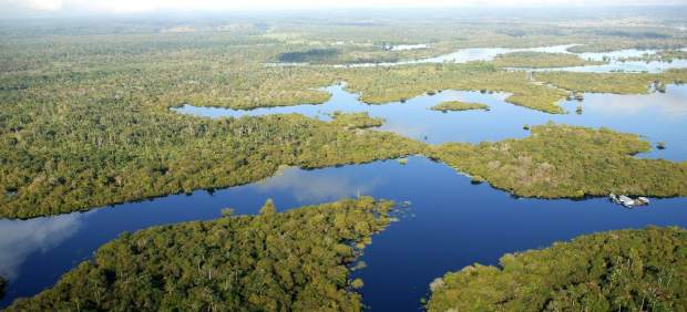 Amazonas