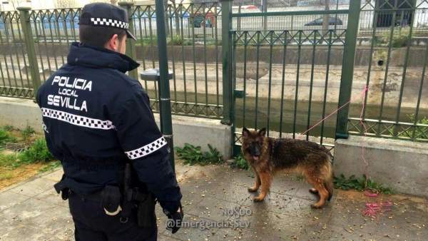 Policía Local rescata un perro Policía Local rescata un perro
