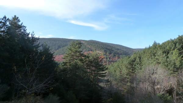 Sierra de Cebollera. Sierra de Cebollera.