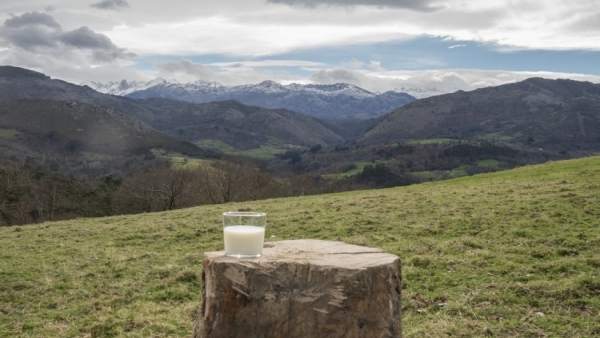 Central Lechera Asturiana Central Lechera Asturiana